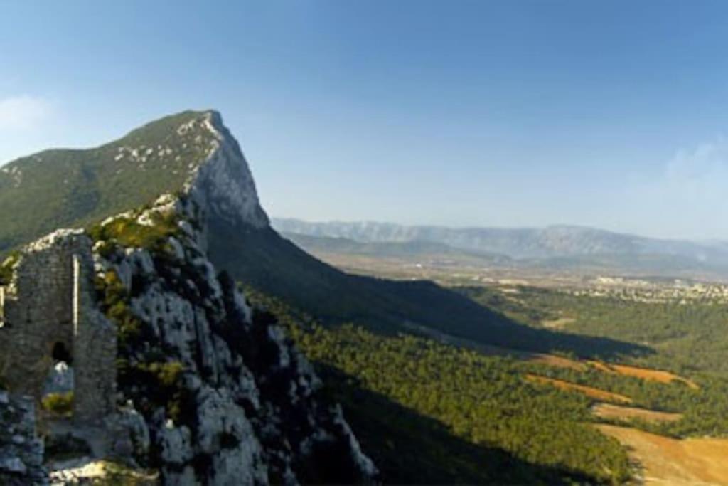 Gite Du Pic Saint Loup Valflaunes エクステリア 写真