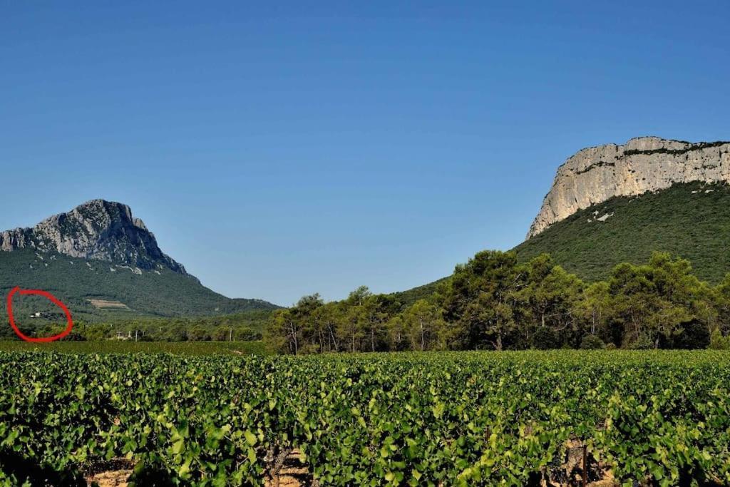 Gite Du Pic Saint Loup Valflaunes エクステリア 写真